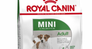 Особенности собачьего корма Royal Canin