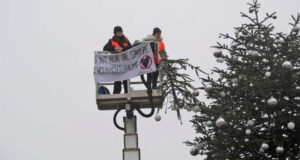 Экоактивисты срезали верхушку главной рождественской ели Берлина