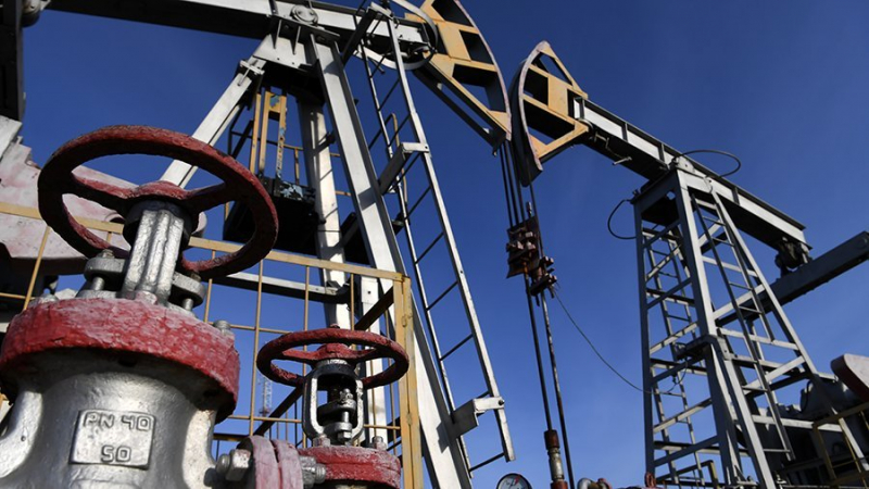 Эксперт заявил об устойчивости российского нефтегазового комплекса