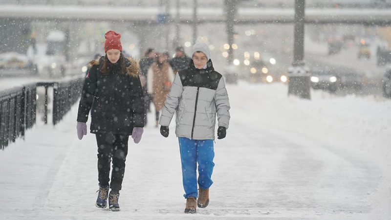 Синоптики спрогнозировали от 2 градусов мороза в Москве и области 29 декабря