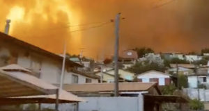Центральную часть Чили охватили мощные лесные пожары