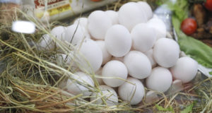 Совет ЕЭК принял решение обнулить пошлины на импорт в РФ куриных яиц c 1 января
