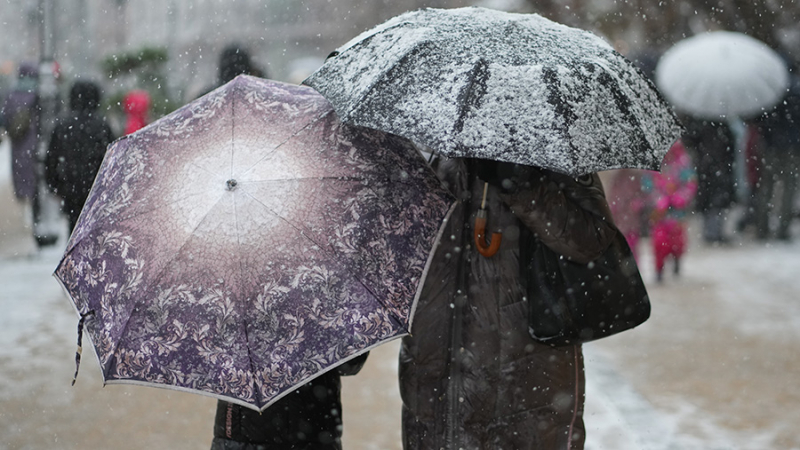 Синоптики пообещали москвичам снег и до +2 градусов 4 февраля