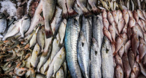 В МИД Бразилии сообщили о расширении поставок мяса и рыбы в Россию