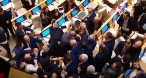 Депутаты парламента Грузии подрались на заседании