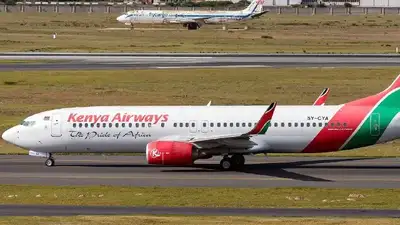 Самолет Kenya Airways столкнулся с птицей