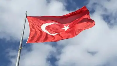 Турция планирует защищать палестинцев, пока они не обретут государство