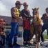 В Бразилии спасли лошадь, которая простояла на крыше дома пару дней