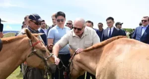 Лукашенко в Монголии подарили коней, а он вручил тракторы