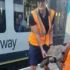 Гигантская черепаха заблокировала железнодорожные пути в Англии