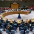 Прошло экстренное заседание Совбеза ООН из-за ракетного удара по больнице в Киеве