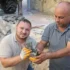 Чтобы спасти котенка в Турции разобрали дорогу и тротуар