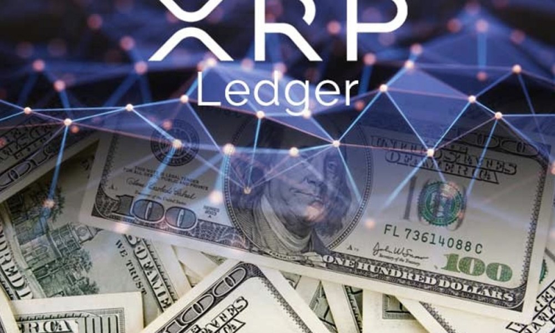 XRP Ledger запустил DEX для регулируемых организаций