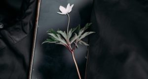 Минималистичный музыкальный проигрыватель для iPhone