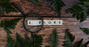 Выживание в игре Sea of Discovery: советы и стратегии