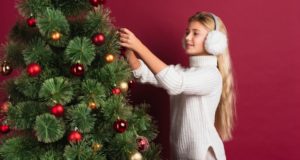 Как выбрать живую рождественскую ель для праздника