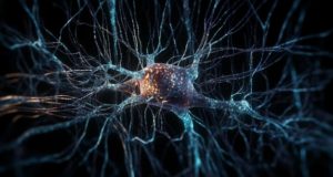 Neuronation-2 новый уровень в нейропсихологии