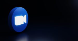 Видеокормушка для птиц как новинка для любителей