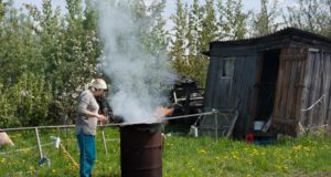 Homebiogas как решение для переработки органических отходов