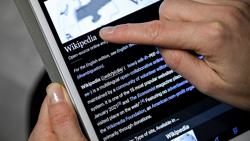 Российский аналог «Википедии» откроется в полномасштабной версии 15 января