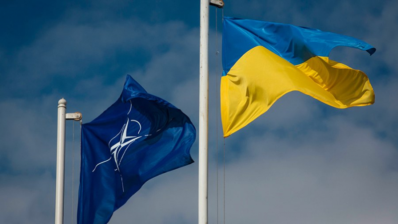 Украина официально вступила в киберцентр при НАТО в Таллине